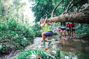 BIB: 
                            <button type="button" onclick="openModal(25454237)" class="btn btn-primary btn-sm float-right btn-popup" data-toggle="modal" data-target=".modal-high-quality">
                        <i class="fas fa-shopping-cart"></i> Add to Cart
                    </button>
                                            <button type="button" onclick="isThisMe(25454237, true)" class="btn btn-success btn-sm float-right btn-popup btn-isme hidden" data-toggle="tooltip" data-placement="bottom" title="นี่คือรูปของคุณใช่ไหม คลิกที่นี่เพื่อเอาเข้าอัลบั้ม">
                        <i class="fas fa-plus"></i> Add to album
                    </button>
                    <button type="button" onclick="isThisMe(25454237, false)" class="btn btn-warning btn-sm float-right btn-popup btn-isnotme hidden">
                        <i class="fas fa-ban"></i> Remove from album
                    </button>